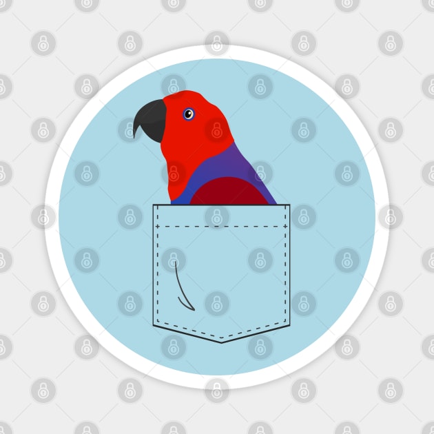Eclectus Parrot Female In Your Front Pocket Magnet by Einstein Parrot